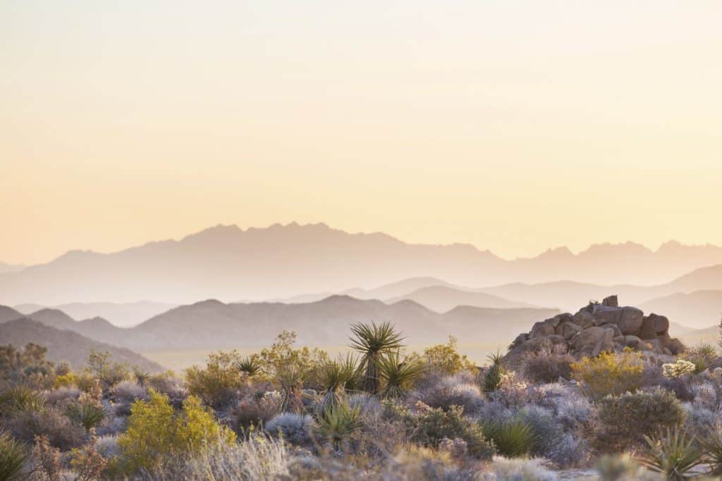 Arizona landscapes easy access from Desertscape Phoenix RV