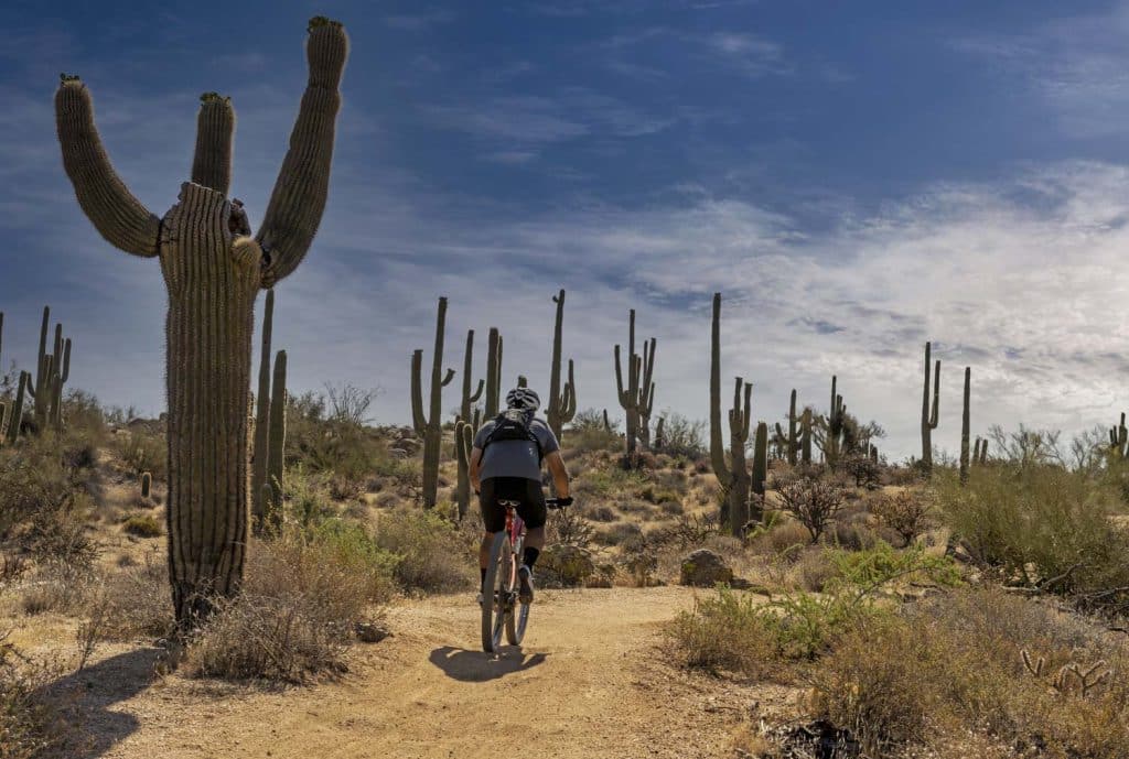 Mountain Biker Heading Up A Desert Trail In Scottsdale Arizona